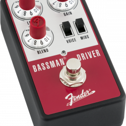 fender-bassman-driver-3-1720856496.png