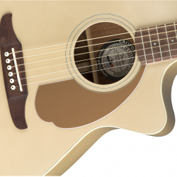 fender-newporter-player-champagne-1-1637849137.png