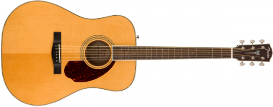 fender-pm-1-1636097426.png